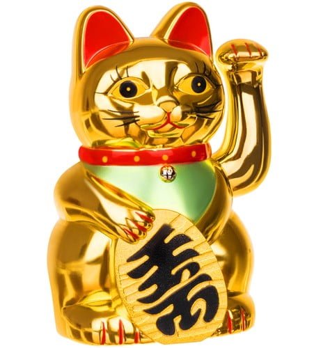 Kinų katė – auksinė