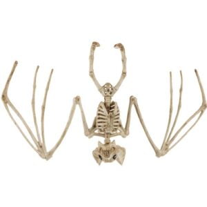 Šikšnosparnio skeletas - dekoracija 30cm Malatec 22005